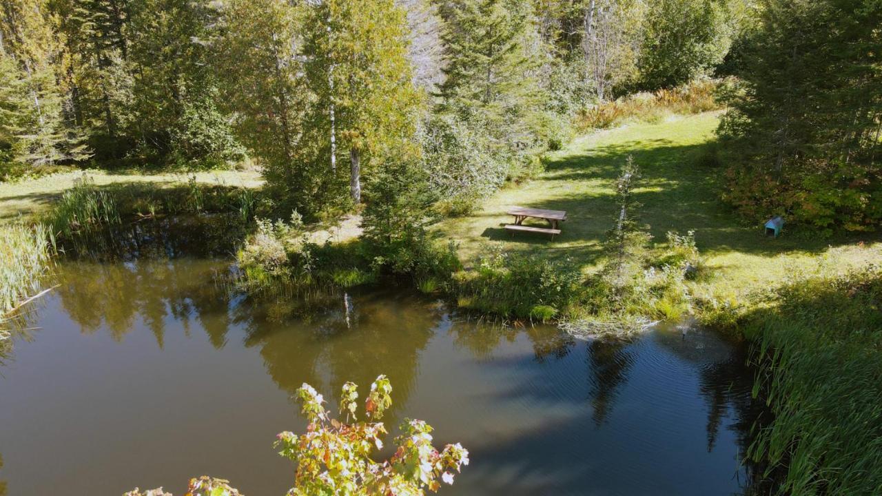La Cabane Secrete Matane Bagian luar foto