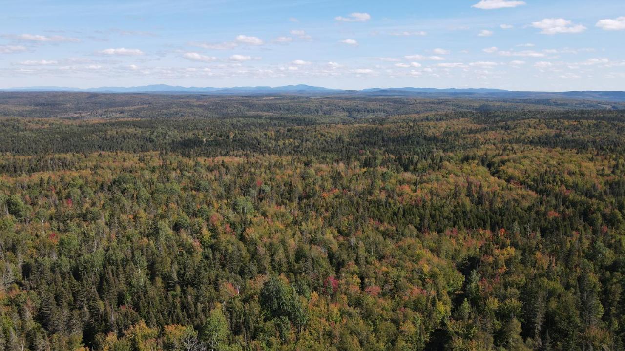 La Cabane Secrete Matane Bagian luar foto