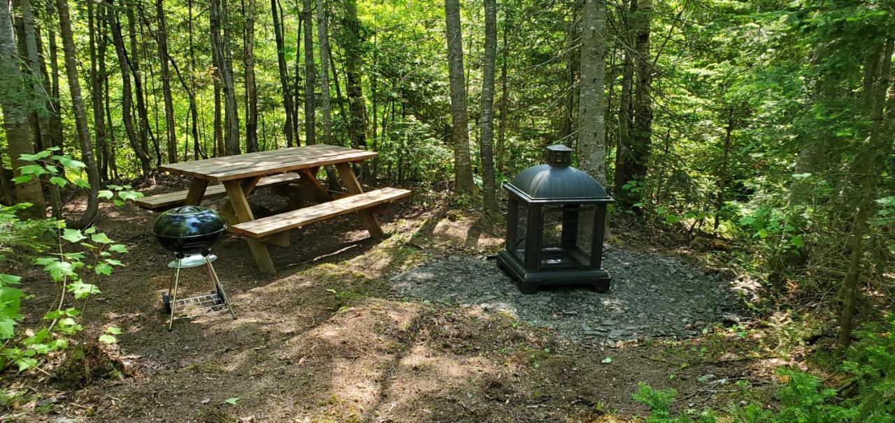 La Cabane Secrete Matane Bagian luar foto